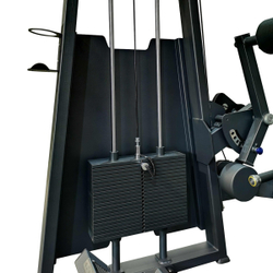 A2031 Разгибание спины. Стек 100 кг