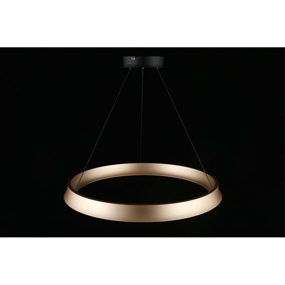 Подвесная светодиодная люстра Aployt Justyna APL.787.03.50