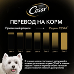Ягненок с овощами, 85гр влажный корм для собак, Cesar