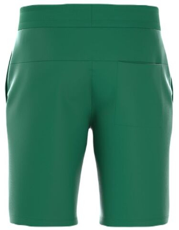 Мужские теннисные шорты Björn Borg Essential Shorts - зеленый