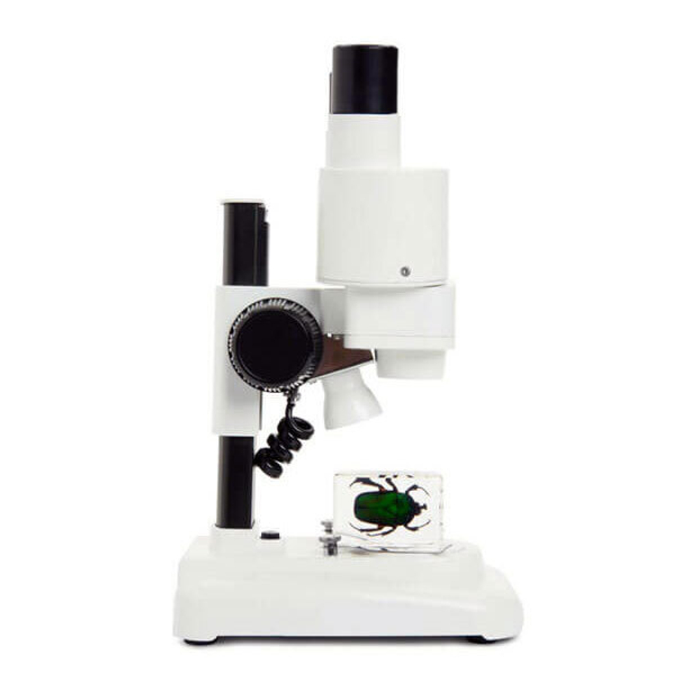 Микроскоп стереоскопический Celestron LABS S20, бинокулярный