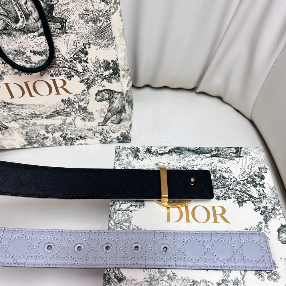 Christian Dior Reversible Belt