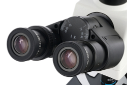 Микроскоп цифровой Levenhuk MED D45T, тринокулярный - фото 8