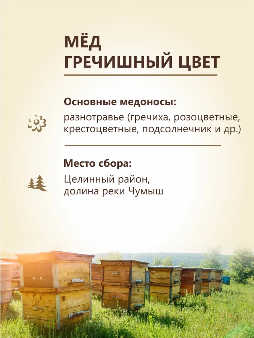 Мед натуральный ассорти 4х500 г