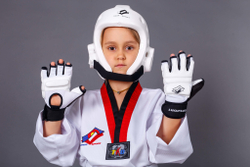 Перчатки WT защитные ProfSport