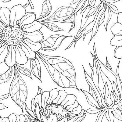 Маргаритка, петуния, пион, календула, контур на белом.