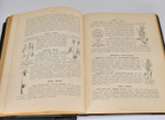 "Ботанический атлас по системе де-Кандоля". К.Гофман. 1899г.