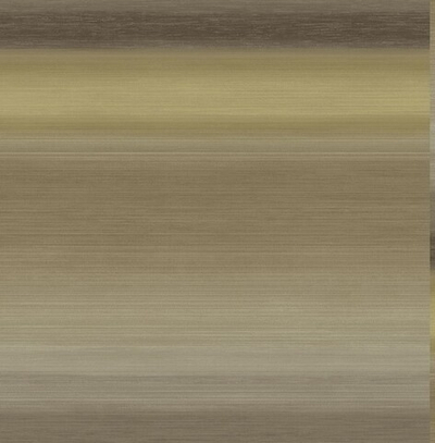 Обои Carl Robinson Edition 14 61506 CR