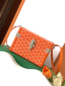 Goyard Cassette Trunk Bag
