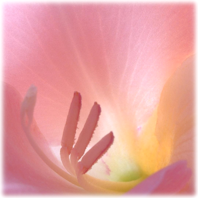 Практический Интенсив «Путь Физического Мастерства» Часть 26