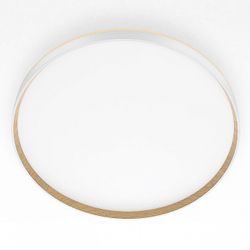 Накладной светильник Citilux ETALON CL750500R