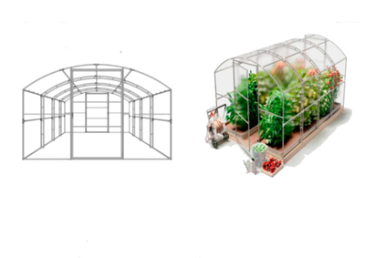 Теплица Кремлевская сказка