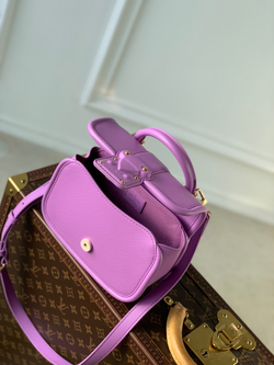 Louis Vuitton Hide & Seek Bag