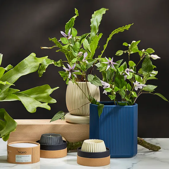 Свеча ароматическая vetiver &amp; black cypress из коллекции edge, бежевый, 30 ч