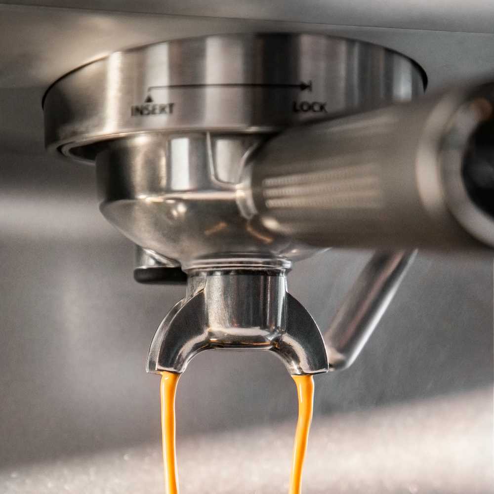 Рожковая кофемашина Krups Precision XP801T10