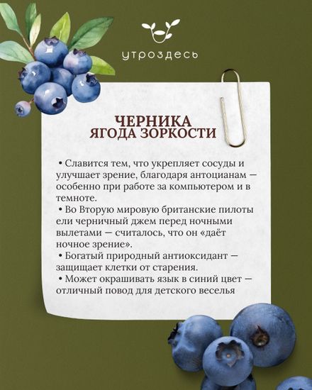 Цукаты ягодное ассорти в тубусе, 120гр