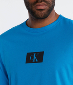 Футболка Calvin Klein Underwear - голубой(000NM2399E)