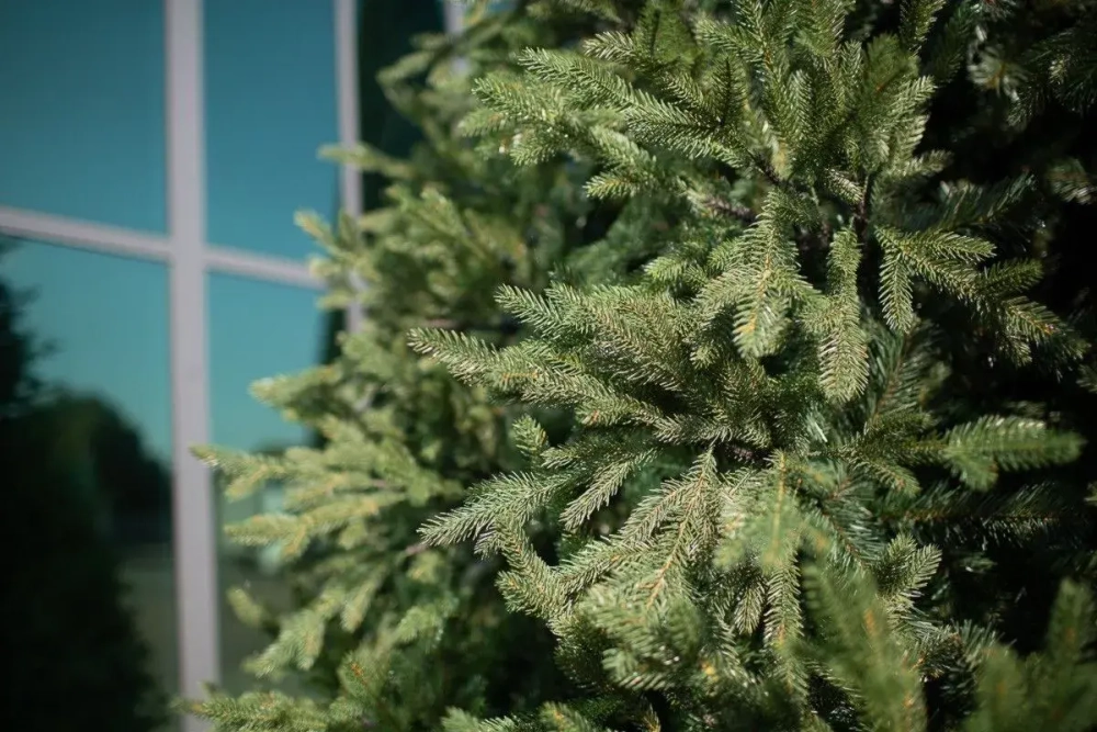 Интерьерная искусственная елка Финская Премиум 3 м., ствольная, Литая хвоя+ПВХ, Green Trees (GT3FIN)