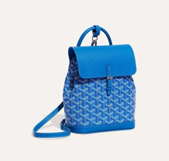 Рюкзак GOYARD Alpin Mini, синий