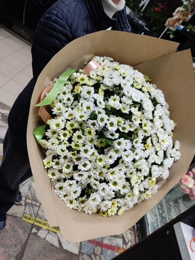 Ромашковое поле