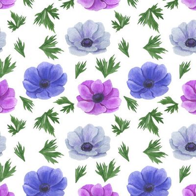 Анемоны акварель