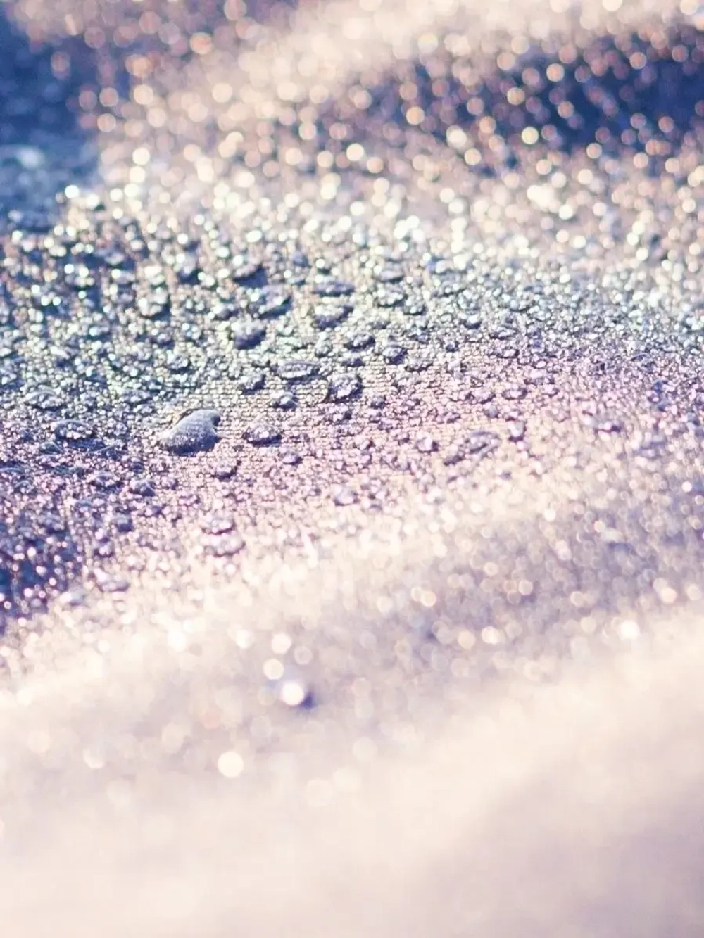 Попона дождевик для собак  средних пород Уиппета Левретки