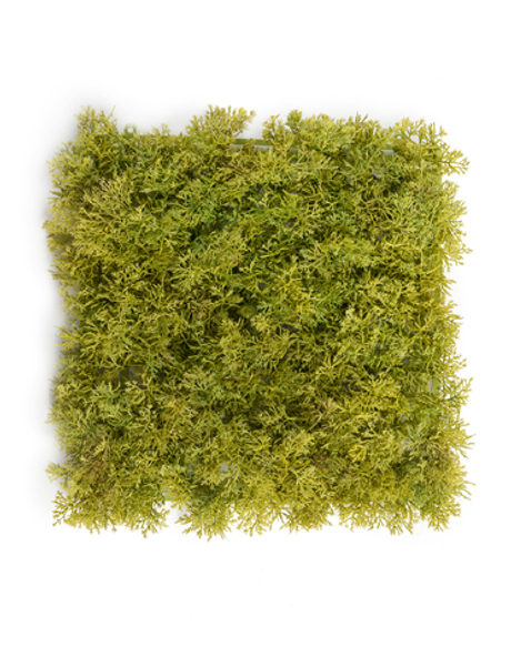 Мох Ягель светло-зелёный микс (коврик)