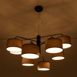 Подвесная люстра Citilux ФОРМА CL428281