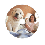 Оптический диск Verbatim BD-R SL 25GB 6X DataLifePlus Wide Termal Printable No ID, Spindle, 25 шт