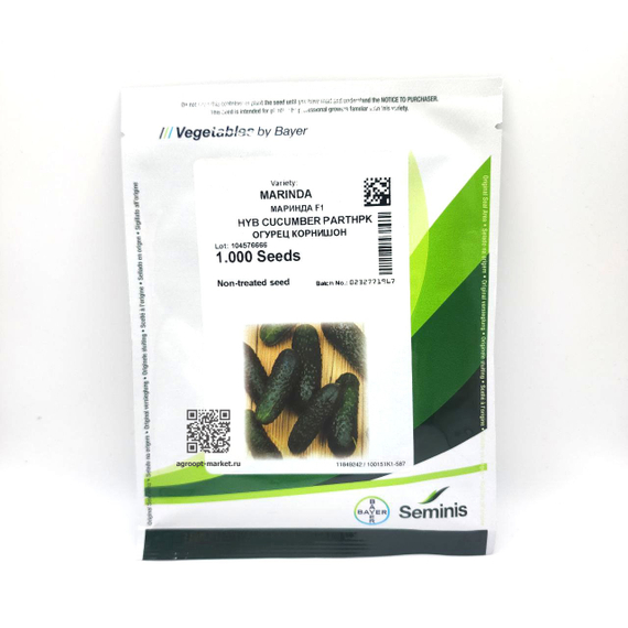 Маринда F1 семена огурца партенокарпического (Seminis / Семинис) – фото 6