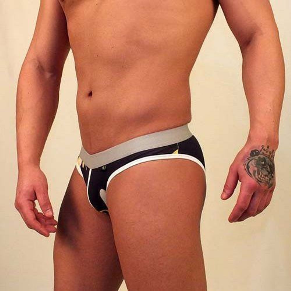 Трусы мужские брифы черные с серой резинкой Van Baam VB-38181