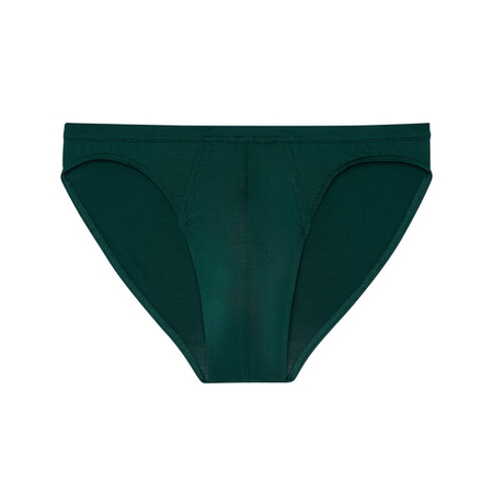 Мужские трусы слипы темно-зеленые HOM TENCEL SOFT Comfort Micro Briefs 402463_4000DG