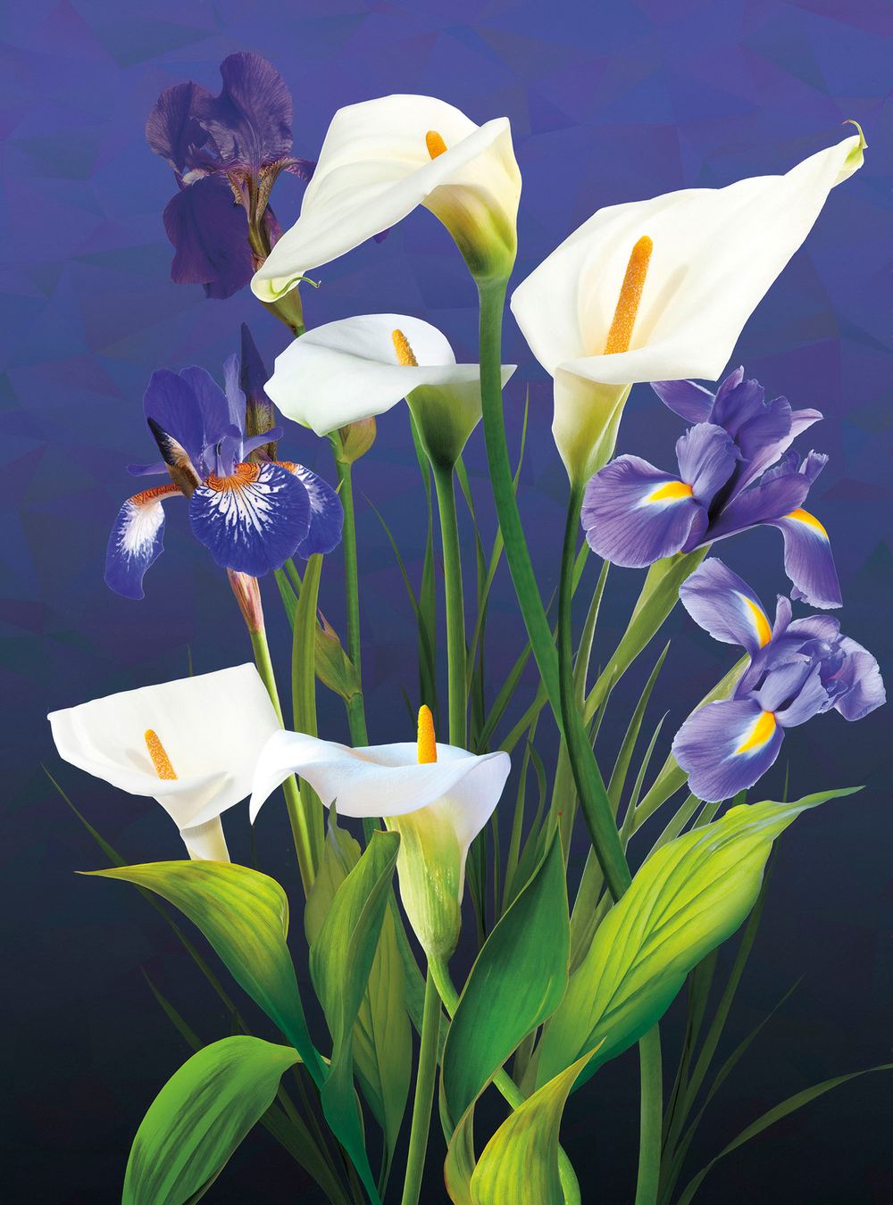 Коллекция Flower Dreams