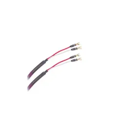 Tchernov Cable Classic XS SC Spade - Spade 1.65 m