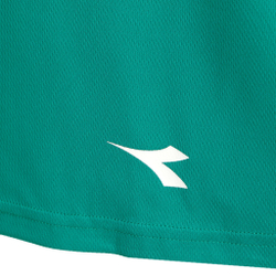 Мужское теннисное поло Diadora Core T-Shirt Men - Green, Multicoloured