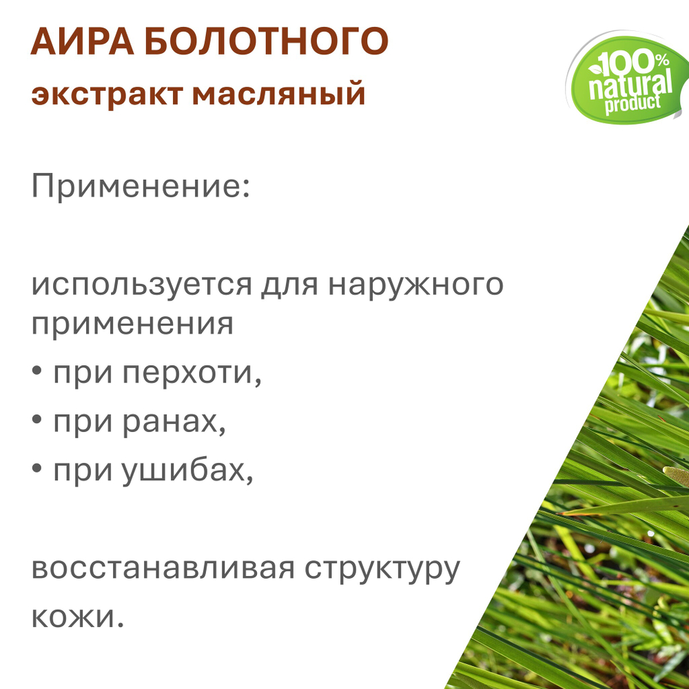 Экстракт аира, масляный