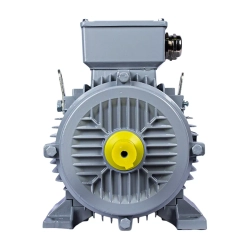 Электродвигатель ESQ PR 160 L6-SDN-Б1-S12-IE3 11/1000 IMB3