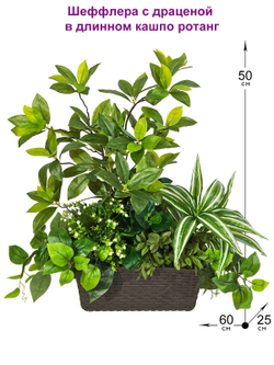 Искусственная Шеффлера с драценой 60см в длинном кашпо ротанг