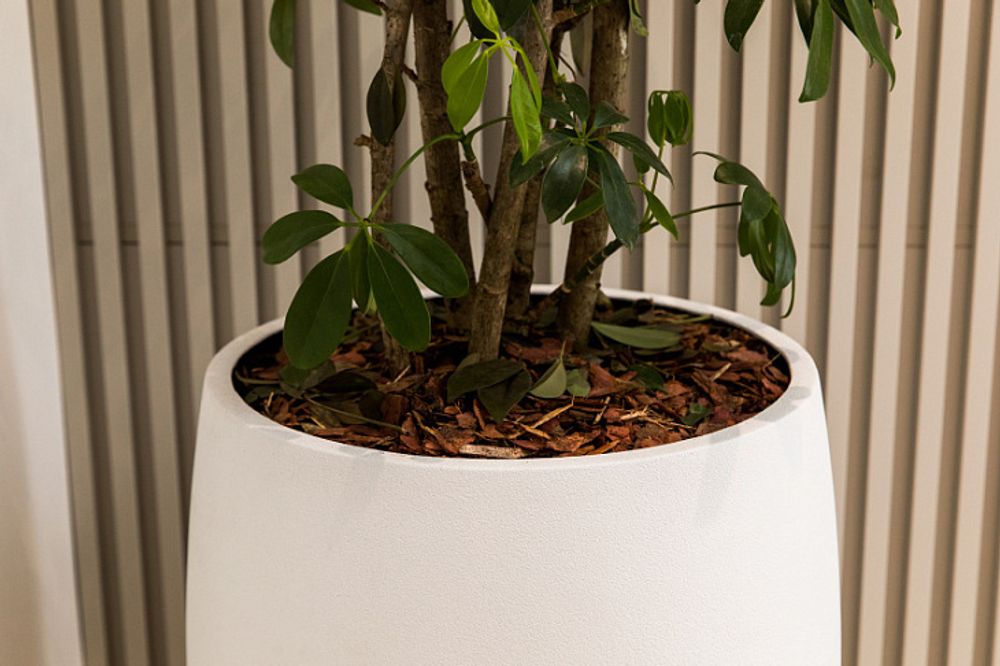 Кашпо CIGAR NERO