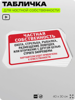 Табличка для частной территории "Частная собственность", на дом, для участка, организаций, предупреждающая, 40х30 см, Silver Plane x Айдентика Технолоджи