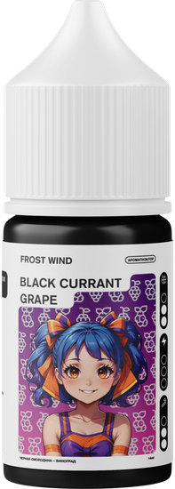 Ароматизатор Frost Wind Черная смородина Виноград