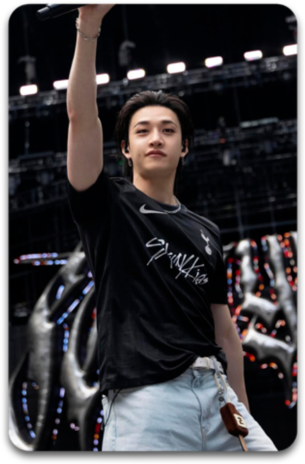 Карта / STRAY KIDS #4296