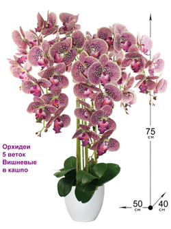 Искусственные Орхидеи 5 веток вишневые 75см в белом кашпо