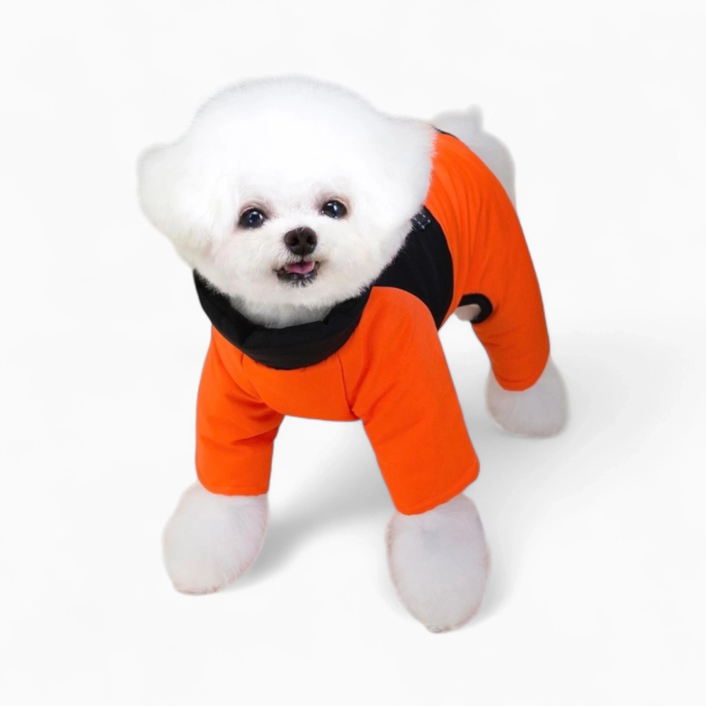 Комбинезон «Лапа»