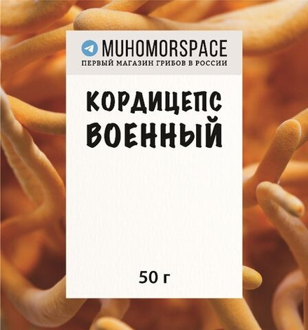 Кордицепс военный, Cordyceps militaris, 50 гр