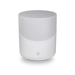 Bluesound Pulse M