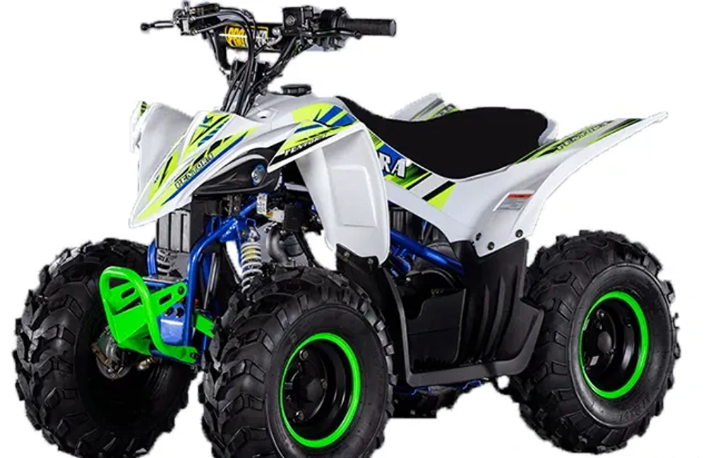 Квадроцикл Mikilon Rapide 110 (без АКБ)