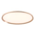 Потолочный светодиодный cветильник LED4U L3020-600 GD