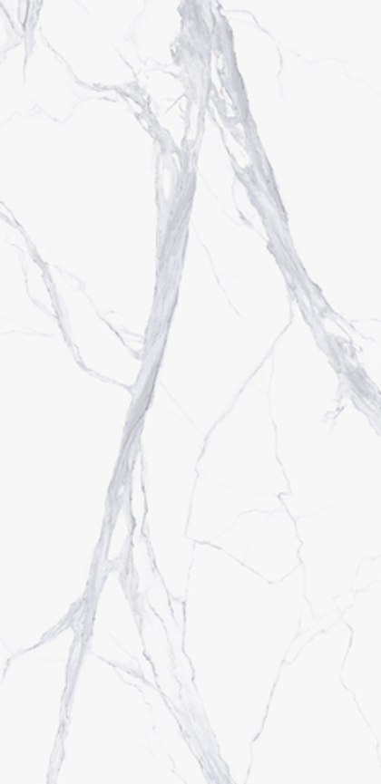 SUPER ARABESCATO CORCHIA