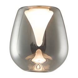 8943 Плафон ANDROMEDA